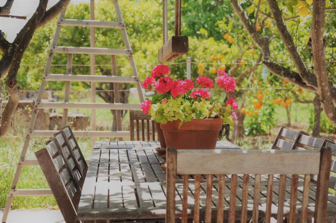 Ca'N Guiri, Eco Finca In Mallorca Campanet Dış mekan fotoğraf