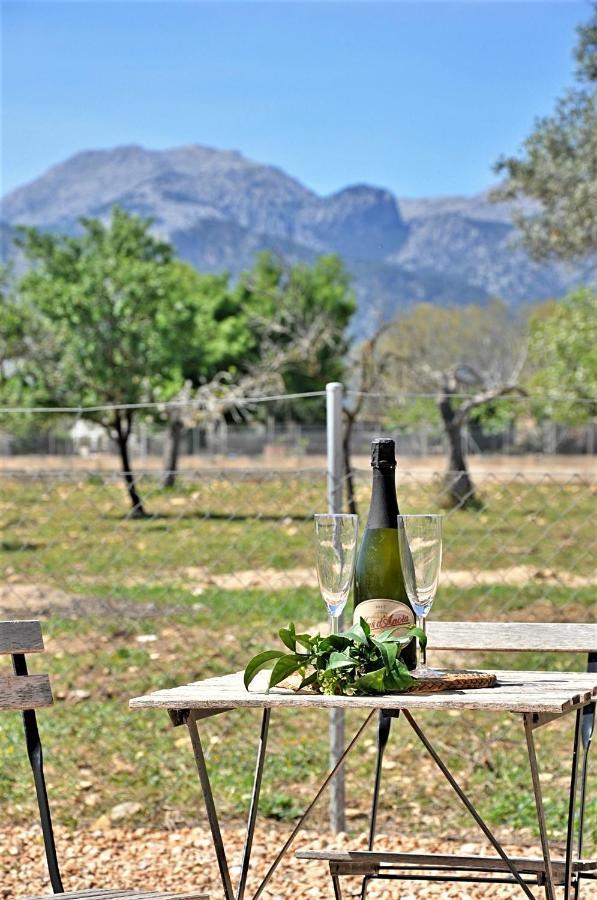 Ca'N Guiri, Eco Finca In Mallorca Campanet Dış mekan fotoğraf